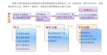 首屆花生生態峰會盛大召開，全方位解讀物業管理及配套服務新生態