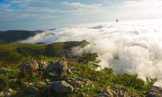 5.19中國旅游日“惠”游湖北 夏天來宜昌山林峽谷，一起漂流一起嗨！